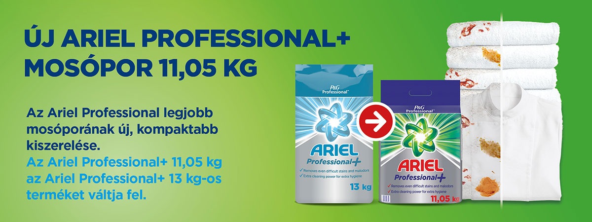 Ariel Professional +