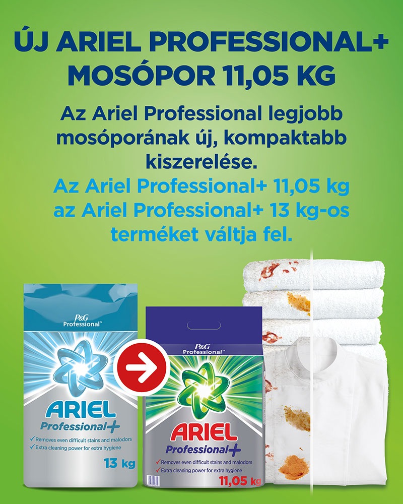 Ariel Professional +